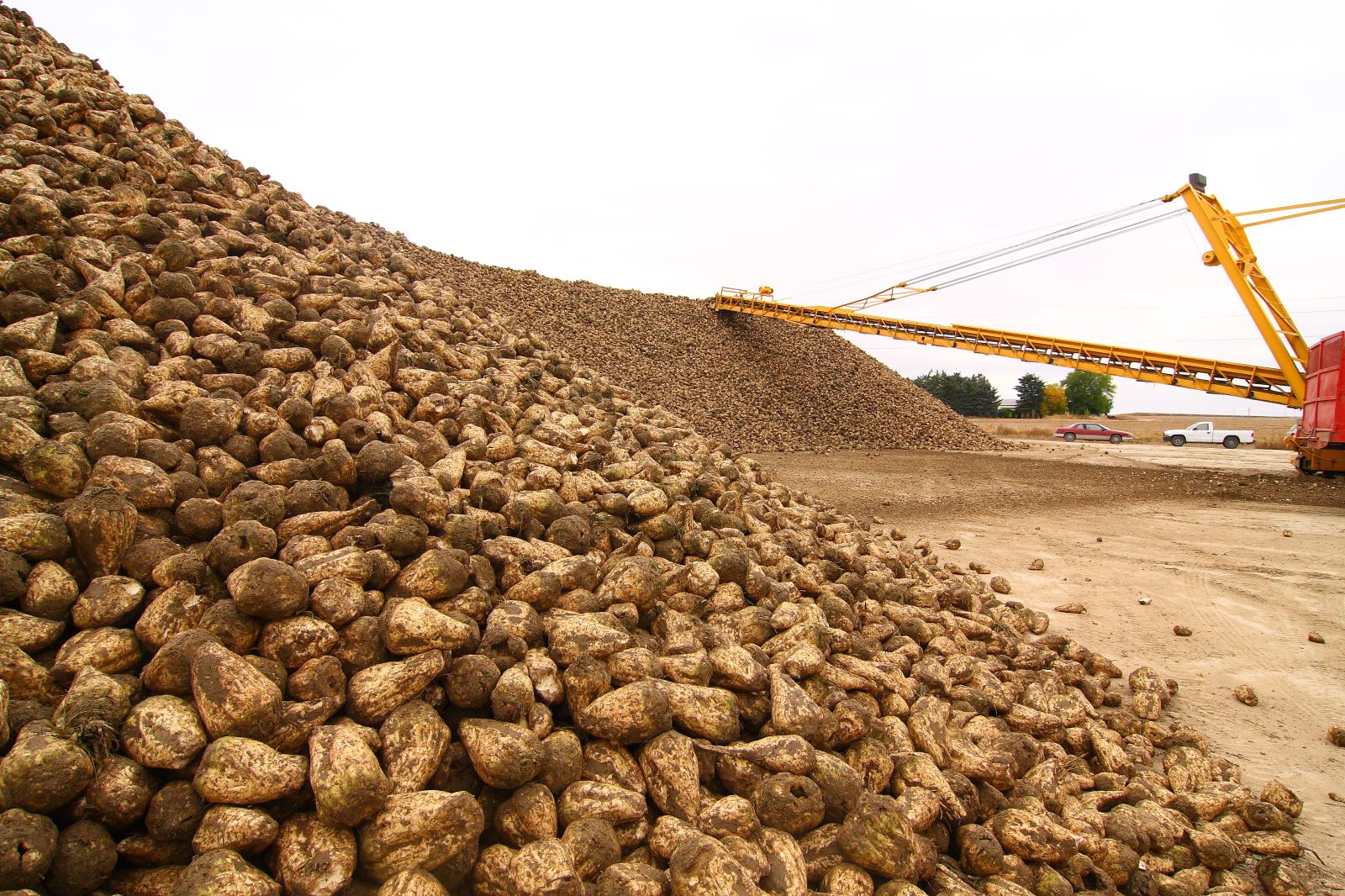 Sugar Shortage Could Lead to Imports from Mexico Sugar Producer Magazine