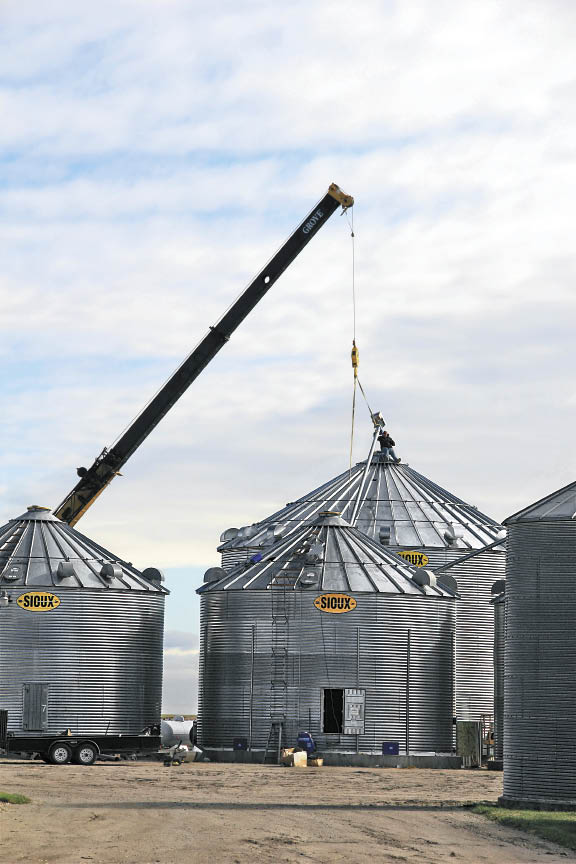 Bins Freese Farm Bins Freese Farm