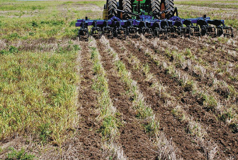 Strip-Till Buyer's Guide